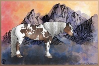 Horse Color:White Spotted Liver Chestnut Rabicano 