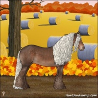 Horse Color:Liver Chestnut Mushroom 