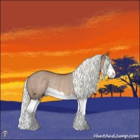 Horse Color:Liver Red Dun Mushroom Splash Rabicano