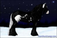 Horse Color:Silver Brown Chinchilla Roan Dun Splash Tobiano 