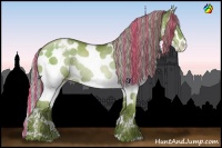 Horse Color:Painted White Spotted Liver Chestnut Pearl Splash Varnish Rabicano 