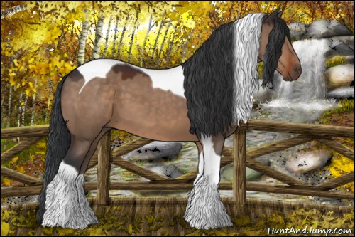 Horse Color:Brown Dun Tobiano 