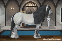 Horse Color:Grullo Chinchilla Sabino