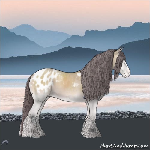 Horse Color:Bay Chinchilla Onyx Sabino Blanket 