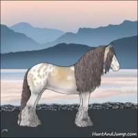 Horse Color:Bay Chinchilla Onyx Sabino Appaloosa 