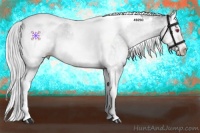 Horse Color:White Spotted Silver Brown Chinchilla Splash Tobiano 