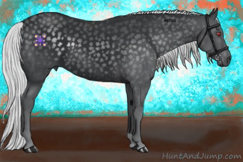 Horse Color:Silver Black Chinchilla