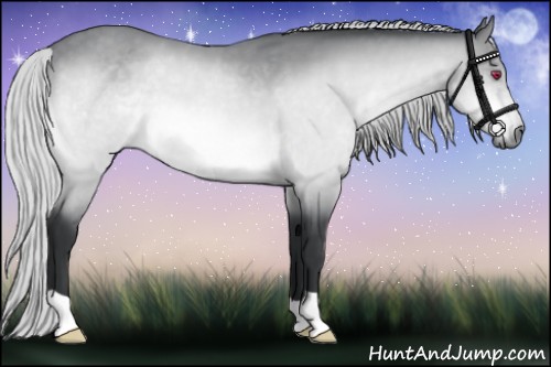 Horse Color:Silver Brown Chinchilla