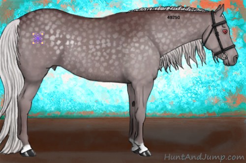 Horse Color:Chocolate Silver Black Chinchilla Rabicano 