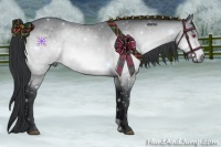 Horse Color:Brown Chinchilla 