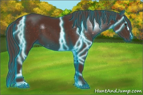 Horse Color:Thunderstruck Liver Chestnut 