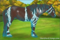 Horse Color:Thunderstruck Liver Chestnut 