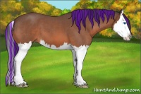 Horse Color:Painted Bay Roan Splash 