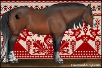 Horse Color:Brown Rabicano and Brown Splash Rabicano