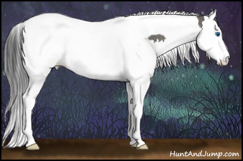 Horse Color:Grullo Splash Tobiano