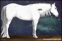 Horse Color:Grullo Splash Tobiano
