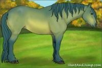 Horse Color:Watercolor Bay Sabino Rabicano 