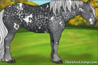 Horse Color:White Spotted Silver Black Chinchilla Rabicano 