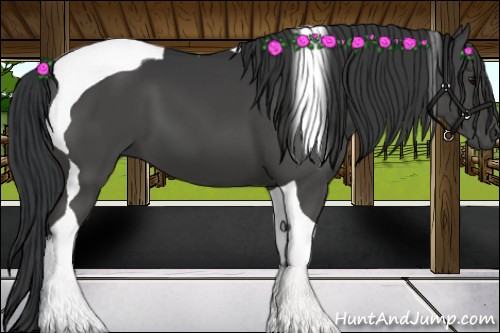 Horse Color:Black Tobiano