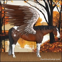 Horse Color:Brown Sabino Splash Appaloosa
