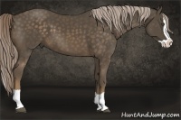 Horse Color:Chocolate Palomino Splash