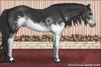 Horse Color:White Spotted Black Frame 