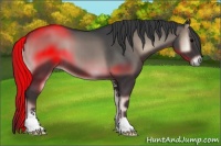 Horse Color:Blue Onyx Sabino