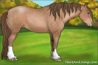 Horse Color:Brown Pearl 