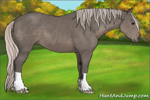 Horse Color:Silver Black 