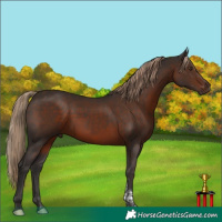 Horse Color:Liver Chestnut Tobiano