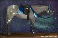 Horse Color:White Spotted Grullo