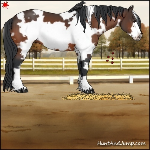Horse Color:White Spotted Brown Frame 
