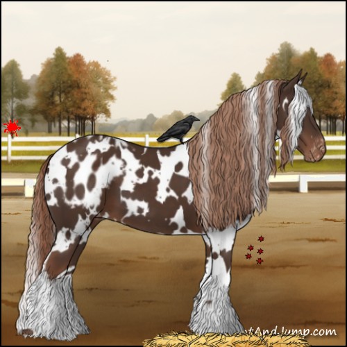 Horse Color:White Spotted Liver Chestnut Blanket