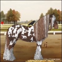 Horse Color:White Spotted Liver Chestnut Blanket 