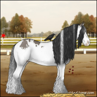 Horse Color:White Spotted Grullo Splash 