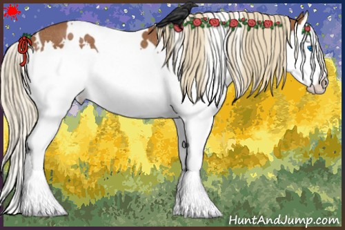 Horse Color:White Spotted Chestnut Splash Rabicano 