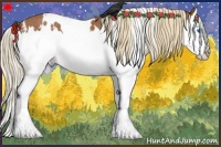 Horse Color:White Spotted Chestnut Splash Rabicano 