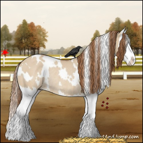 Horse Color:White Spotted Red Dun Splash Rabicano