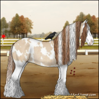 Horse Color:White Spotted Red Dun Splash Rabicano