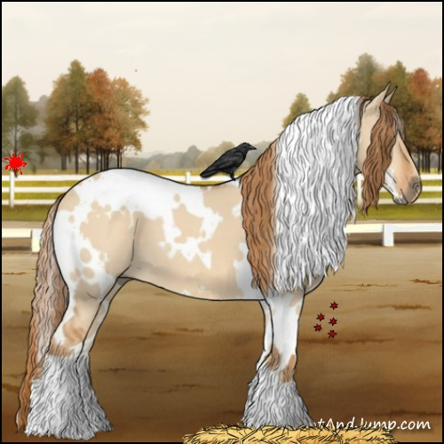 Horse Color:White Spotted Red Dun 