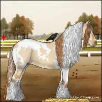 Horse Color:White Spotted Red Dun 