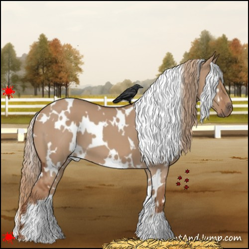 Horse Color:White Spotted Red Dun 