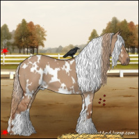 Horse Color:White Spotted Red Dun 