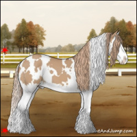 Horse Color:White Spotted Red Dun Splash 