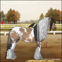 Horse Color:White Spotted Bay Dun