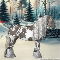 Horse Color:White Spotted Silver Black 