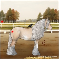 Horse Color:White Spotted Silver Brown Pearl Dun Varnish 