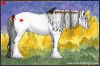 Horse Color:White Spotted Black