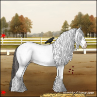 Horse Color:White Spotted Grullo Blanket 