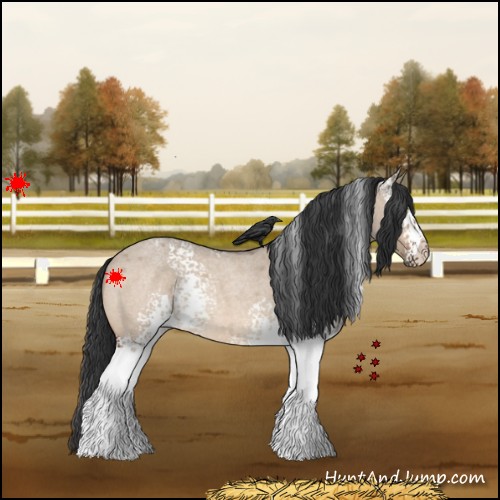 Horse Color:White Spotted Brown Roan Dun 
